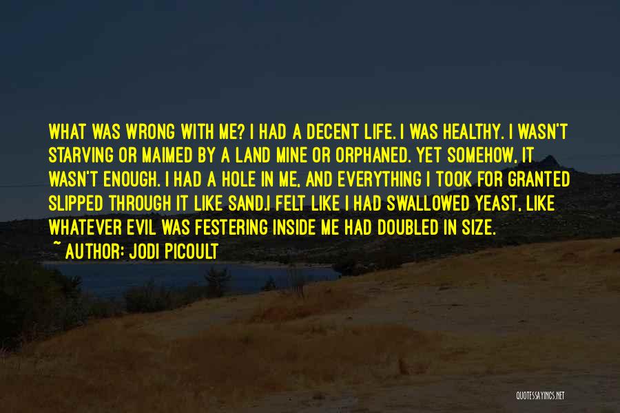 Jodi Picoult Quotes: What Was Wrong With Me? I Had A Decent Life. I Was Healthy. I Wasn't Starving Or Maimed By A