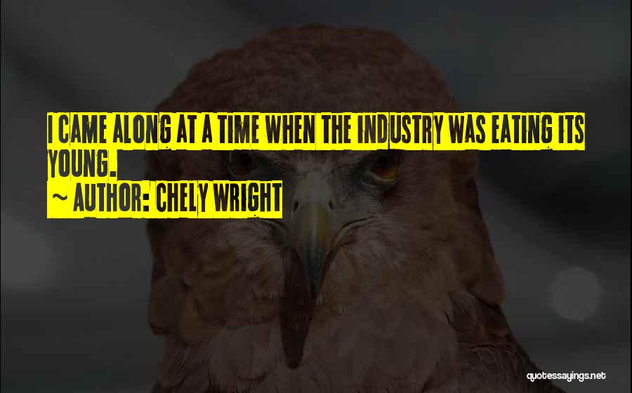 Chely Wright Quotes: I Came Along At A Time When The Industry Was Eating Its Young.