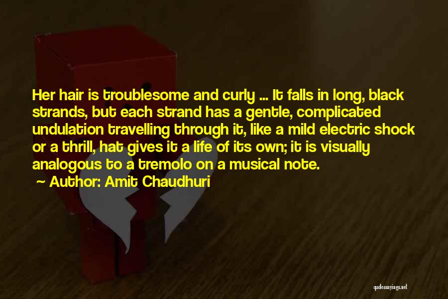 Amit Chaudhuri Quotes: Her Hair Is Troublesome And Curly ... It Falls In Long, Black Strands, But Each Strand Has A Gentle, Complicated