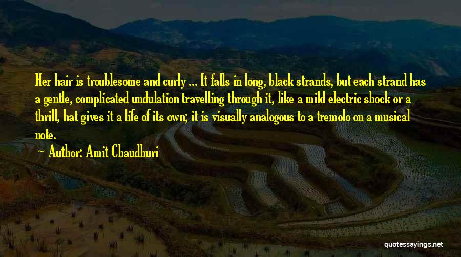 Amit Chaudhuri Quotes: Her Hair Is Troublesome And Curly ... It Falls In Long, Black Strands, But Each Strand Has A Gentle, Complicated