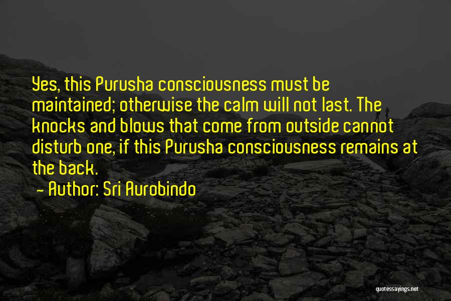 Sri Aurobindo Quotes: Yes, This Purusha Consciousness Must Be Maintained; Otherwise The Calm Will Not Last. The Knocks And Blows That Come From