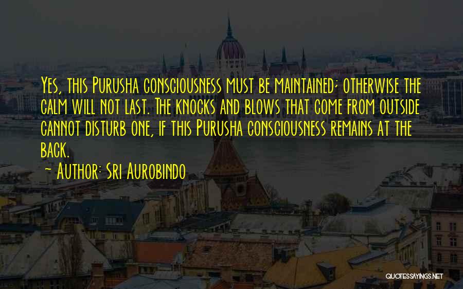 Sri Aurobindo Quotes: Yes, This Purusha Consciousness Must Be Maintained; Otherwise The Calm Will Not Last. The Knocks And Blows That Come From