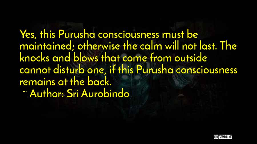 Sri Aurobindo Quotes: Yes, This Purusha Consciousness Must Be Maintained; Otherwise The Calm Will Not Last. The Knocks And Blows That Come From