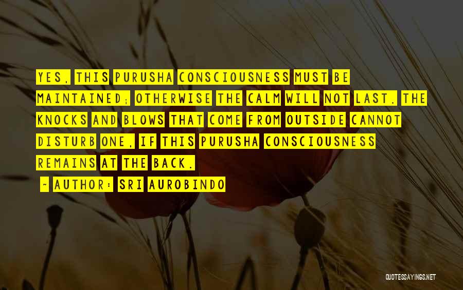 Sri Aurobindo Quotes: Yes, This Purusha Consciousness Must Be Maintained; Otherwise The Calm Will Not Last. The Knocks And Blows That Come From