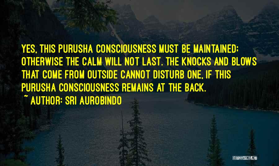 Sri Aurobindo Quotes: Yes, This Purusha Consciousness Must Be Maintained; Otherwise The Calm Will Not Last. The Knocks And Blows That Come From