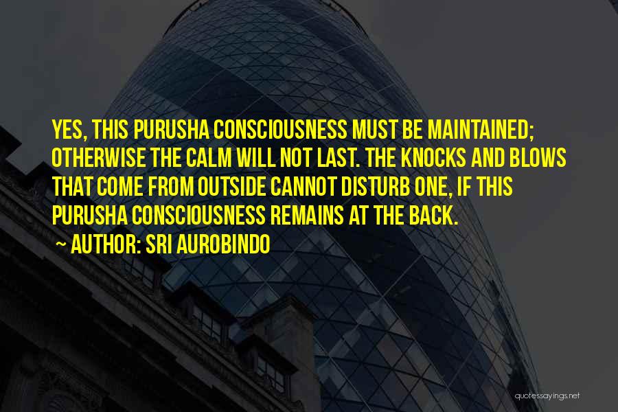 Sri Aurobindo Quotes: Yes, This Purusha Consciousness Must Be Maintained; Otherwise The Calm Will Not Last. The Knocks And Blows That Come From