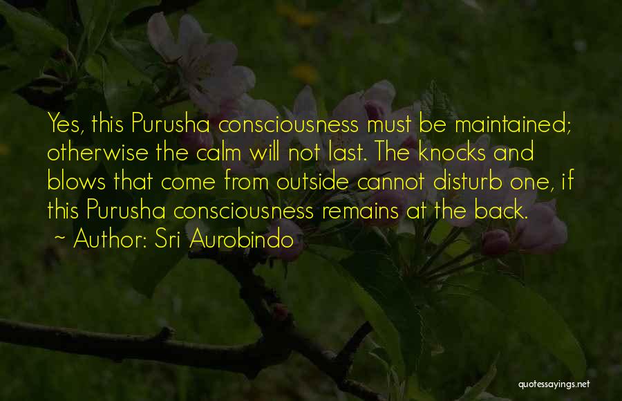 Sri Aurobindo Quotes: Yes, This Purusha Consciousness Must Be Maintained; Otherwise The Calm Will Not Last. The Knocks And Blows That Come From