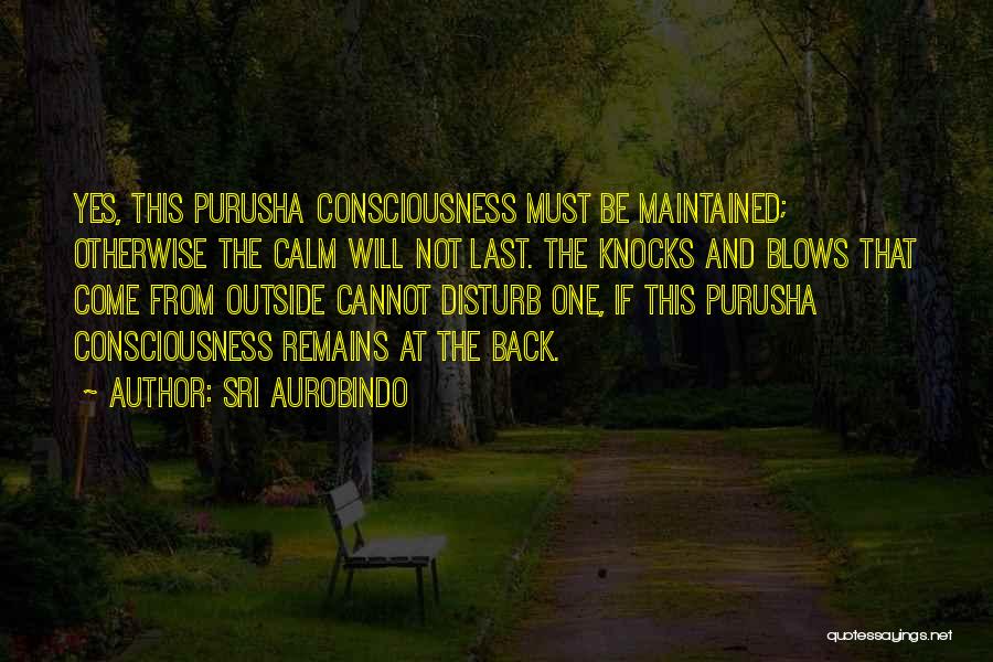 Sri Aurobindo Quotes: Yes, This Purusha Consciousness Must Be Maintained; Otherwise The Calm Will Not Last. The Knocks And Blows That Come From