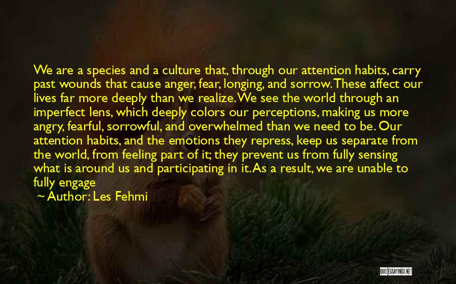 Les Fehmi Quotes: We Are A Species And A Culture That, Through Our Attention Habits, Carry Past Wounds That Cause Anger, Fear, Longing,