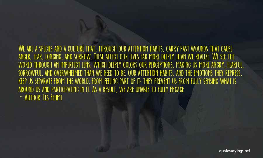 Les Fehmi Quotes: We Are A Species And A Culture That, Through Our Attention Habits, Carry Past Wounds That Cause Anger, Fear, Longing,