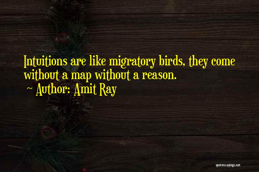 Amit Ray Quotes: Intuitions Are Like Migratory Birds, They Come Without A Map Without A Reason.