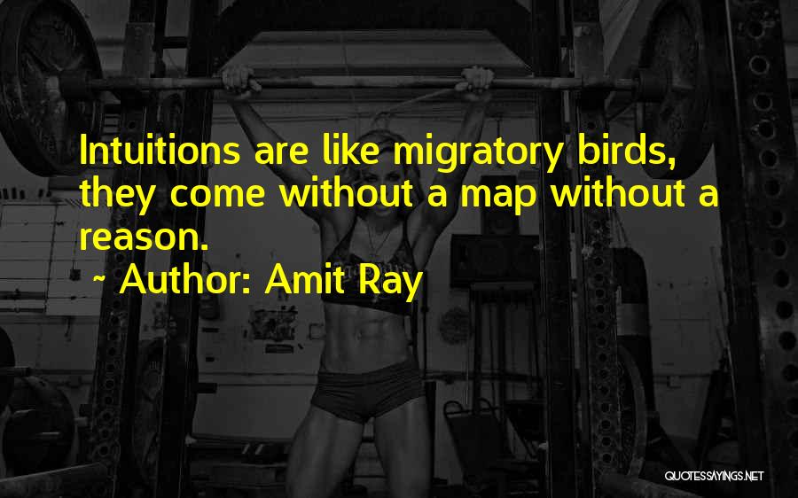 Amit Ray Quotes: Intuitions Are Like Migratory Birds, They Come Without A Map Without A Reason.