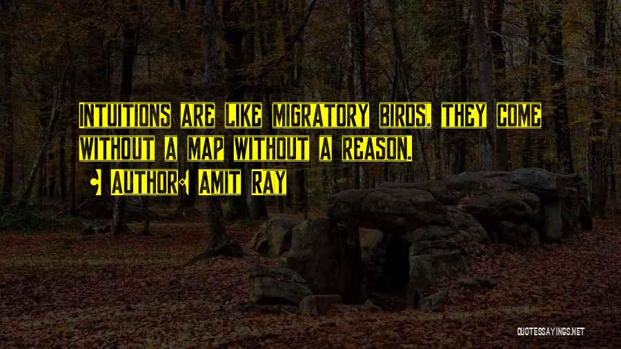 Amit Ray Quotes: Intuitions Are Like Migratory Birds, They Come Without A Map Without A Reason.