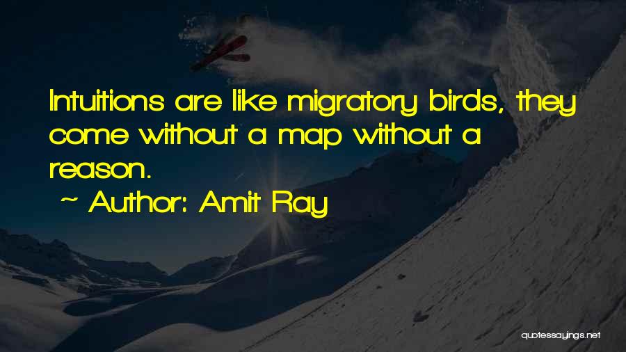 Amit Ray Quotes: Intuitions Are Like Migratory Birds, They Come Without A Map Without A Reason.