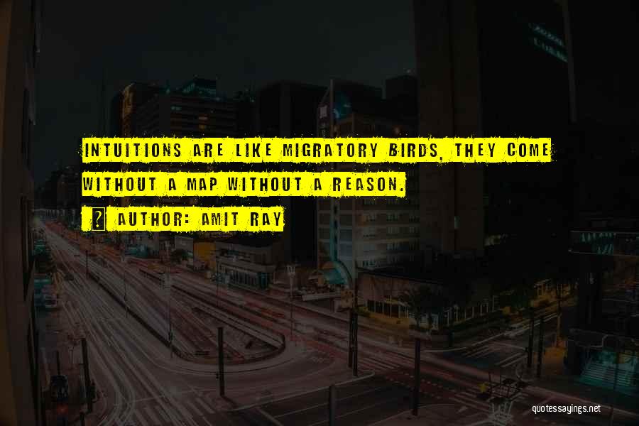 Amit Ray Quotes: Intuitions Are Like Migratory Birds, They Come Without A Map Without A Reason.