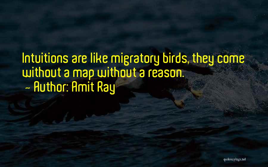 Amit Ray Quotes: Intuitions Are Like Migratory Birds, They Come Without A Map Without A Reason.