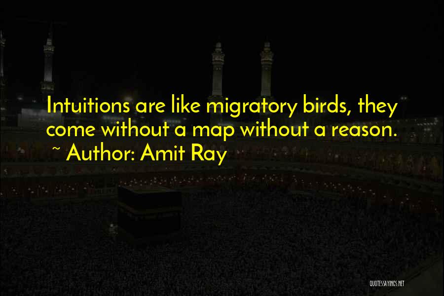 Amit Ray Quotes: Intuitions Are Like Migratory Birds, They Come Without A Map Without A Reason.