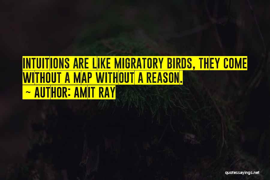 Amit Ray Quotes: Intuitions Are Like Migratory Birds, They Come Without A Map Without A Reason.