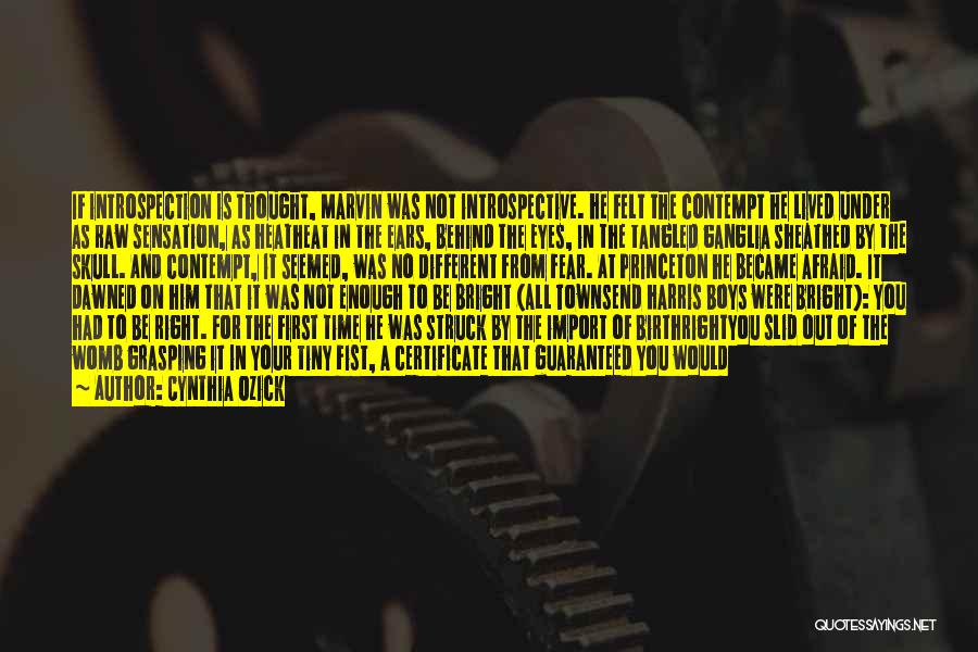 Cynthia Ozick Quotes: If Introspection Is Thought, Marvin Was Not Introspective. He Felt The Contempt He Lived Under As Raw Sensation, As Heatheat