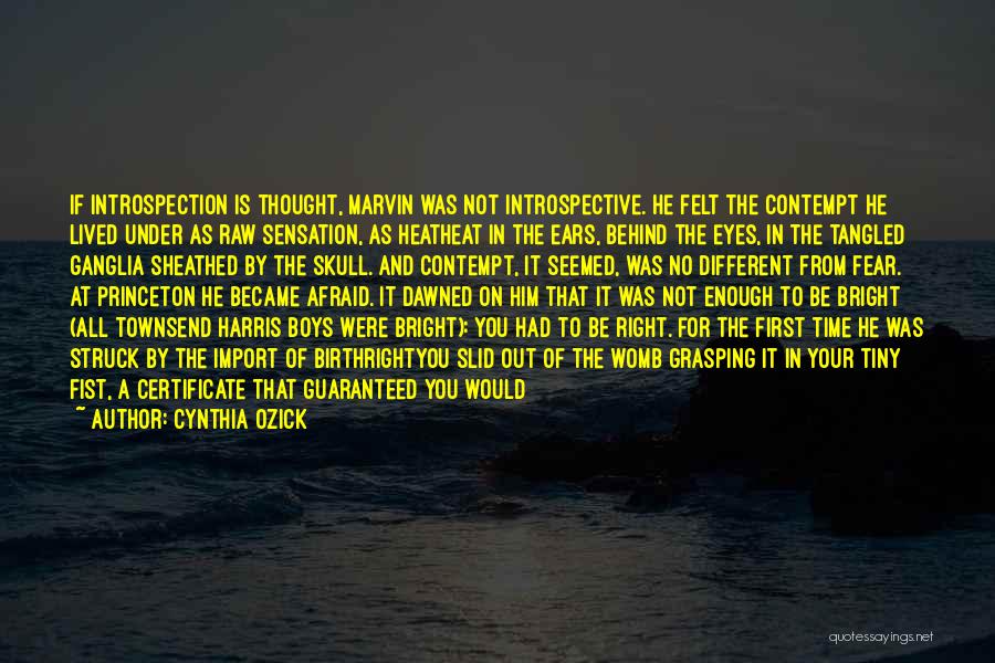 Cynthia Ozick Quotes: If Introspection Is Thought, Marvin Was Not Introspective. He Felt The Contempt He Lived Under As Raw Sensation, As Heatheat