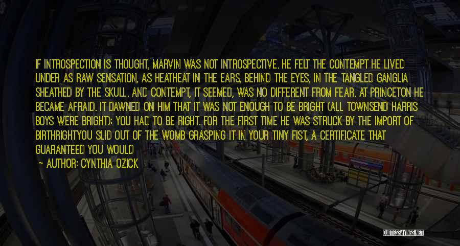 Cynthia Ozick Quotes: If Introspection Is Thought, Marvin Was Not Introspective. He Felt The Contempt He Lived Under As Raw Sensation, As Heatheat