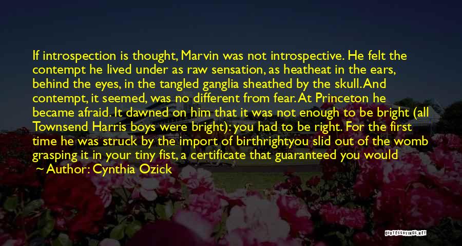 Cynthia Ozick Quotes: If Introspection Is Thought, Marvin Was Not Introspective. He Felt The Contempt He Lived Under As Raw Sensation, As Heatheat