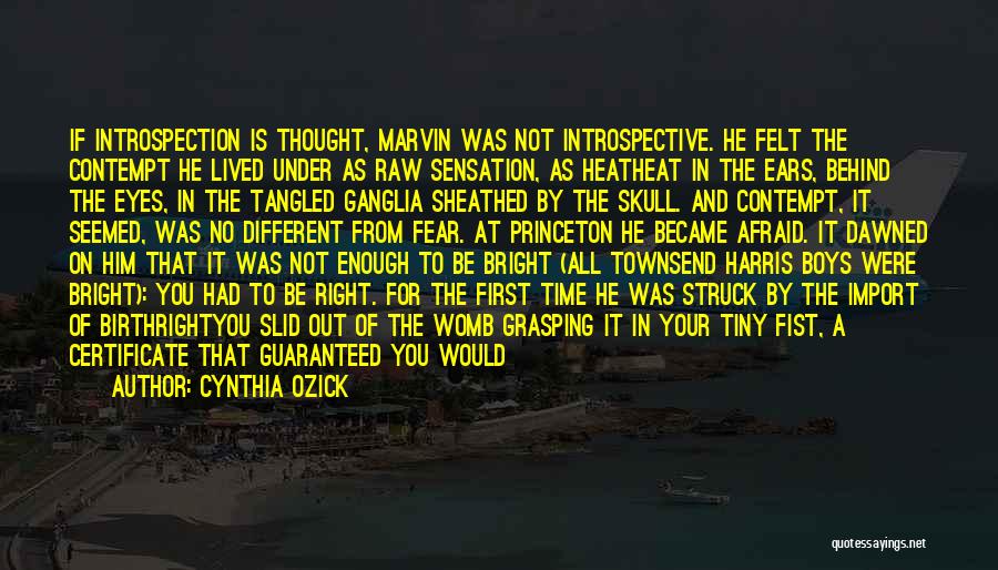 Cynthia Ozick Quotes: If Introspection Is Thought, Marvin Was Not Introspective. He Felt The Contempt He Lived Under As Raw Sensation, As Heatheat