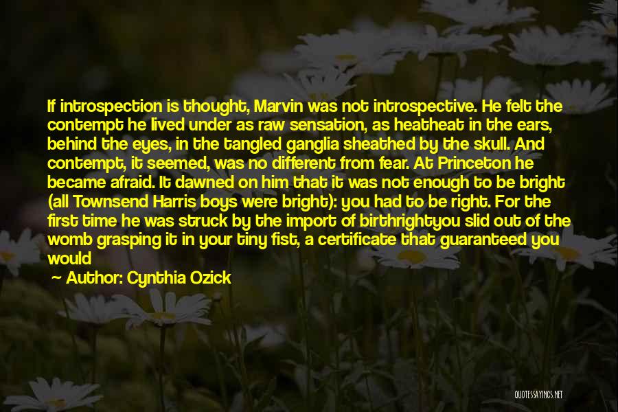 Cynthia Ozick Quotes: If Introspection Is Thought, Marvin Was Not Introspective. He Felt The Contempt He Lived Under As Raw Sensation, As Heatheat