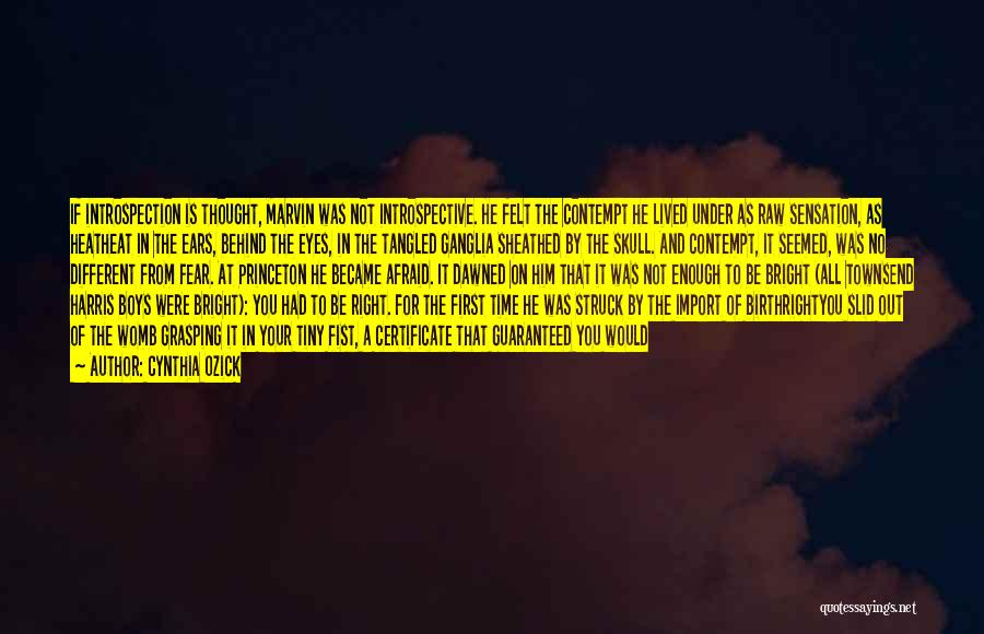 Cynthia Ozick Quotes: If Introspection Is Thought, Marvin Was Not Introspective. He Felt The Contempt He Lived Under As Raw Sensation, As Heatheat