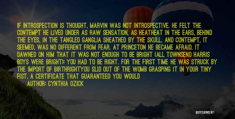 Cynthia Ozick Quotes: If Introspection Is Thought, Marvin Was Not Introspective. He Felt The Contempt He Lived Under As Raw Sensation, As Heatheat