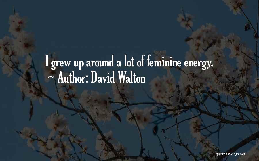 David Walton Quotes: I Grew Up Around A Lot Of Feminine Energy.