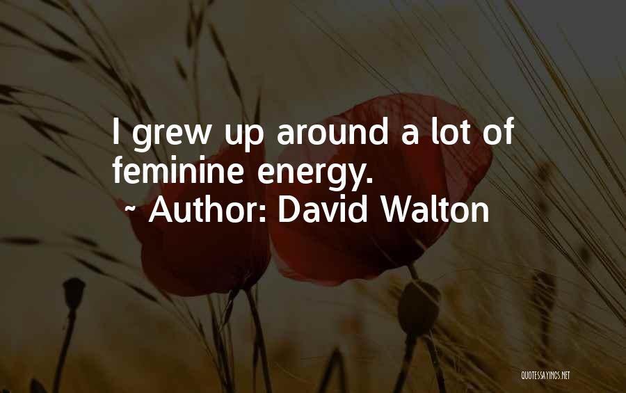 David Walton Quotes: I Grew Up Around A Lot Of Feminine Energy.