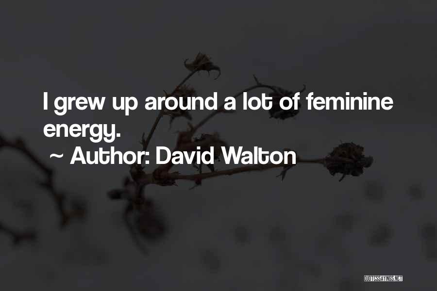 David Walton Quotes: I Grew Up Around A Lot Of Feminine Energy.