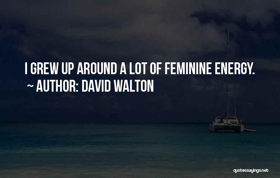 David Walton Quotes: I Grew Up Around A Lot Of Feminine Energy.