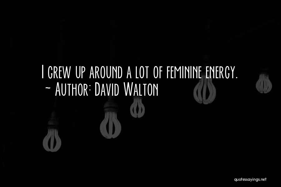 David Walton Quotes: I Grew Up Around A Lot Of Feminine Energy.