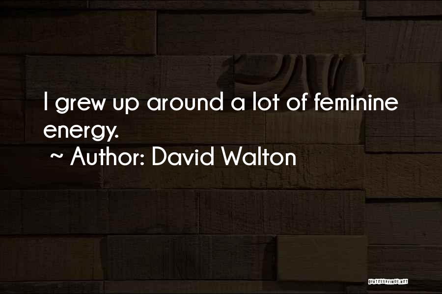 David Walton Quotes: I Grew Up Around A Lot Of Feminine Energy.