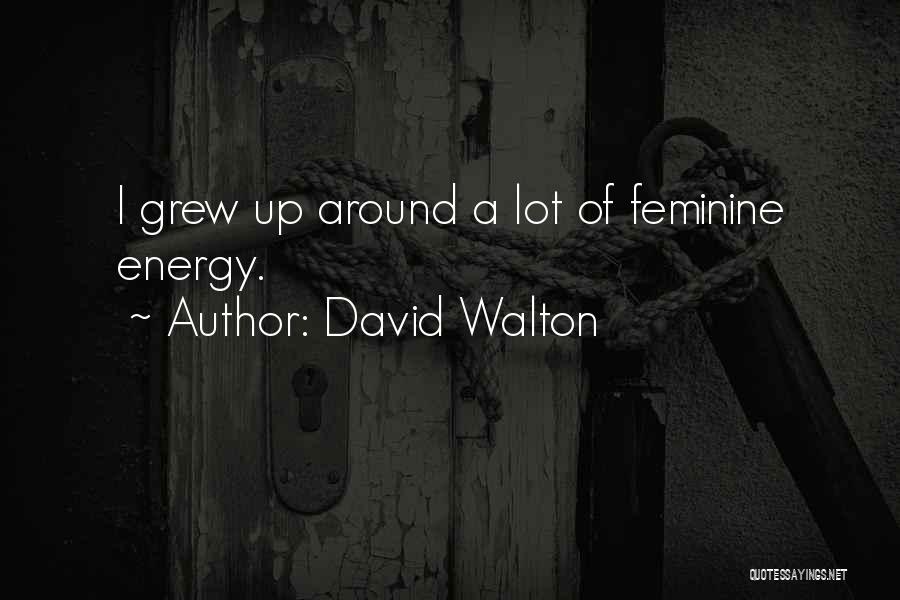 David Walton Quotes: I Grew Up Around A Lot Of Feminine Energy.