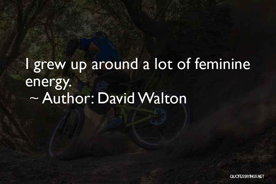 David Walton Quotes: I Grew Up Around A Lot Of Feminine Energy.