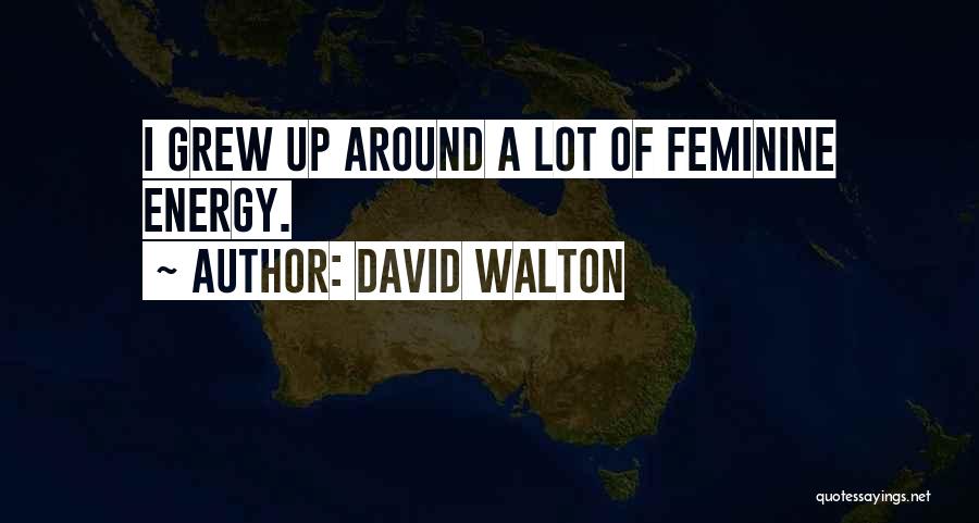 David Walton Quotes: I Grew Up Around A Lot Of Feminine Energy.