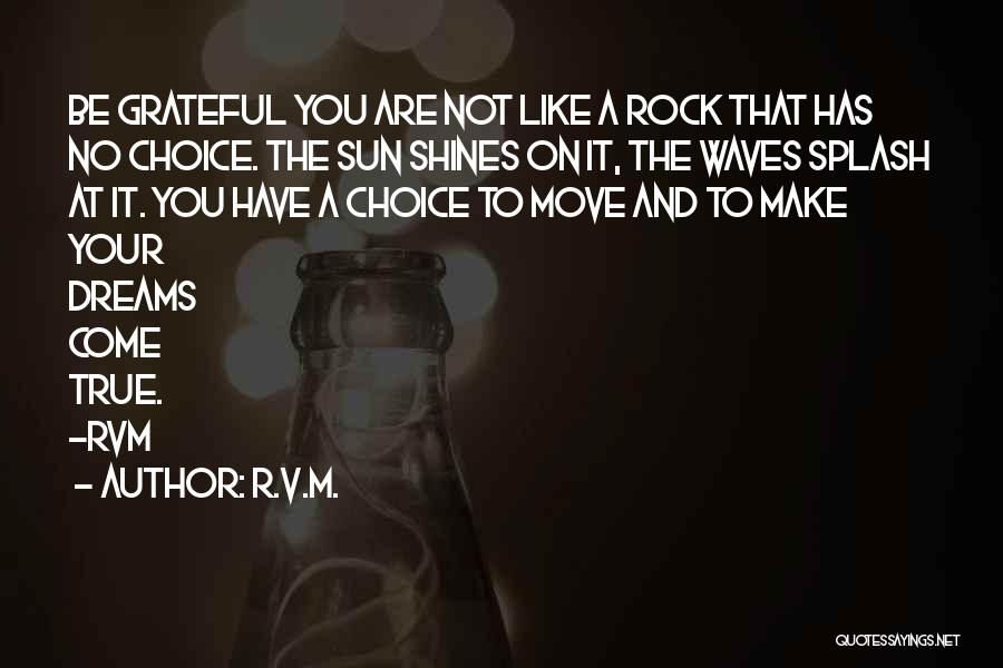 R.v.m. Quotes: Be Grateful You Are Not Like A Rock That Has No Choice. The Sun Shines On It, The Waves Splash
