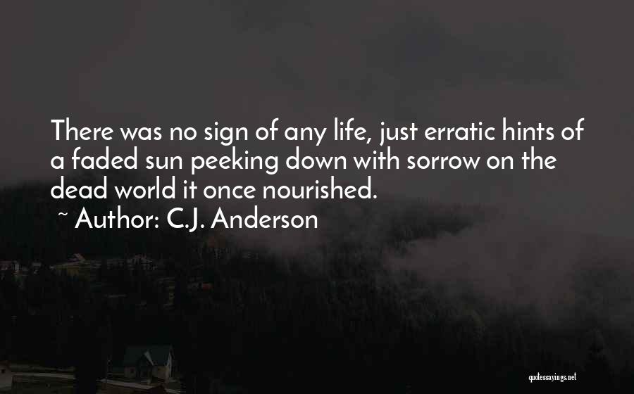 C.J. Anderson Quotes: There Was No Sign Of Any Life, Just Erratic Hints Of A Faded Sun Peeking Down With Sorrow On The