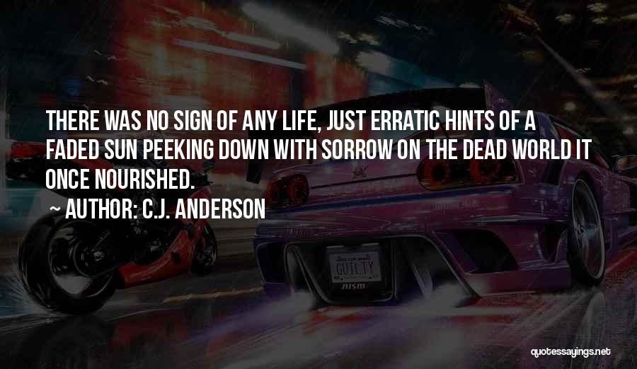 C.J. Anderson Quotes: There Was No Sign Of Any Life, Just Erratic Hints Of A Faded Sun Peeking Down With Sorrow On The