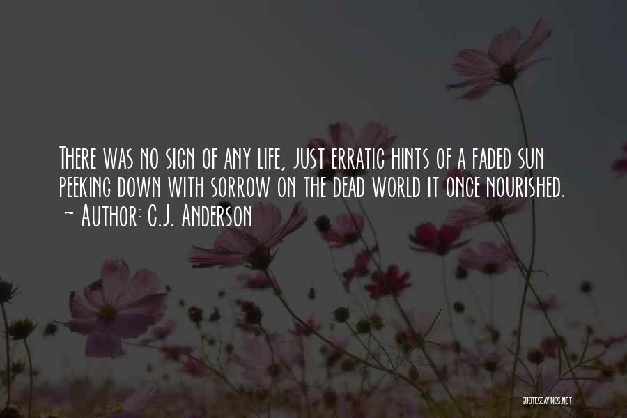 C.J. Anderson Quotes: There Was No Sign Of Any Life, Just Erratic Hints Of A Faded Sun Peeking Down With Sorrow On The