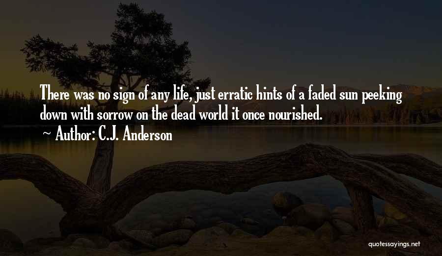 C.J. Anderson Quotes: There Was No Sign Of Any Life, Just Erratic Hints Of A Faded Sun Peeking Down With Sorrow On The