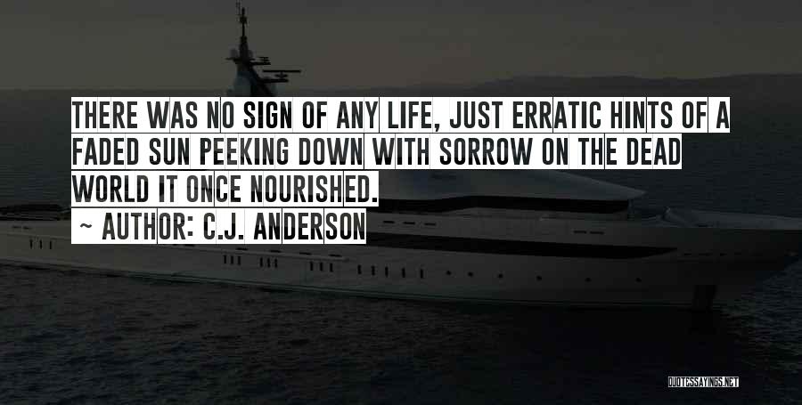 C.J. Anderson Quotes: There Was No Sign Of Any Life, Just Erratic Hints Of A Faded Sun Peeking Down With Sorrow On The