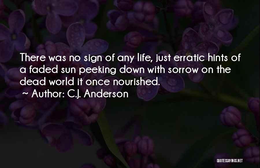 C.J. Anderson Quotes: There Was No Sign Of Any Life, Just Erratic Hints Of A Faded Sun Peeking Down With Sorrow On The