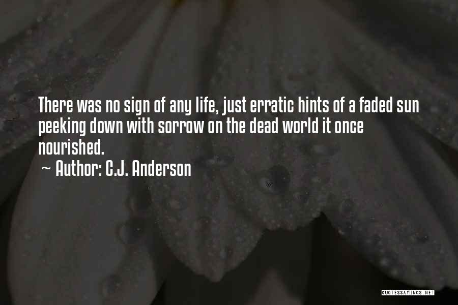 C.J. Anderson Quotes: There Was No Sign Of Any Life, Just Erratic Hints Of A Faded Sun Peeking Down With Sorrow On The