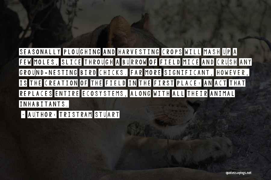 Tristram Stuart Quotes: Seasonally Ploughing And Harvesting Crops Will Mash Up A Few Moles, Slice Through A Burrow Of Field Mice And Crush