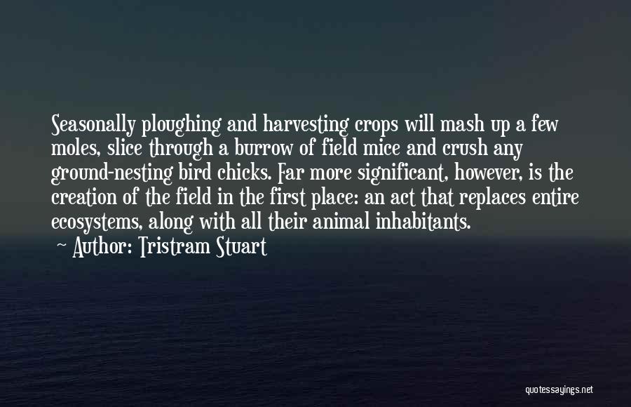 Tristram Stuart Quotes: Seasonally Ploughing And Harvesting Crops Will Mash Up A Few Moles, Slice Through A Burrow Of Field Mice And Crush