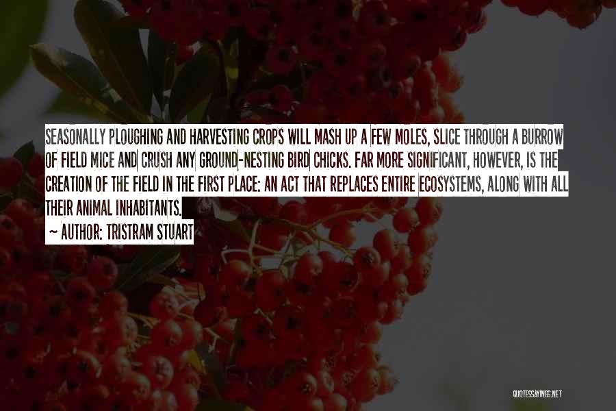 Tristram Stuart Quotes: Seasonally Ploughing And Harvesting Crops Will Mash Up A Few Moles, Slice Through A Burrow Of Field Mice And Crush